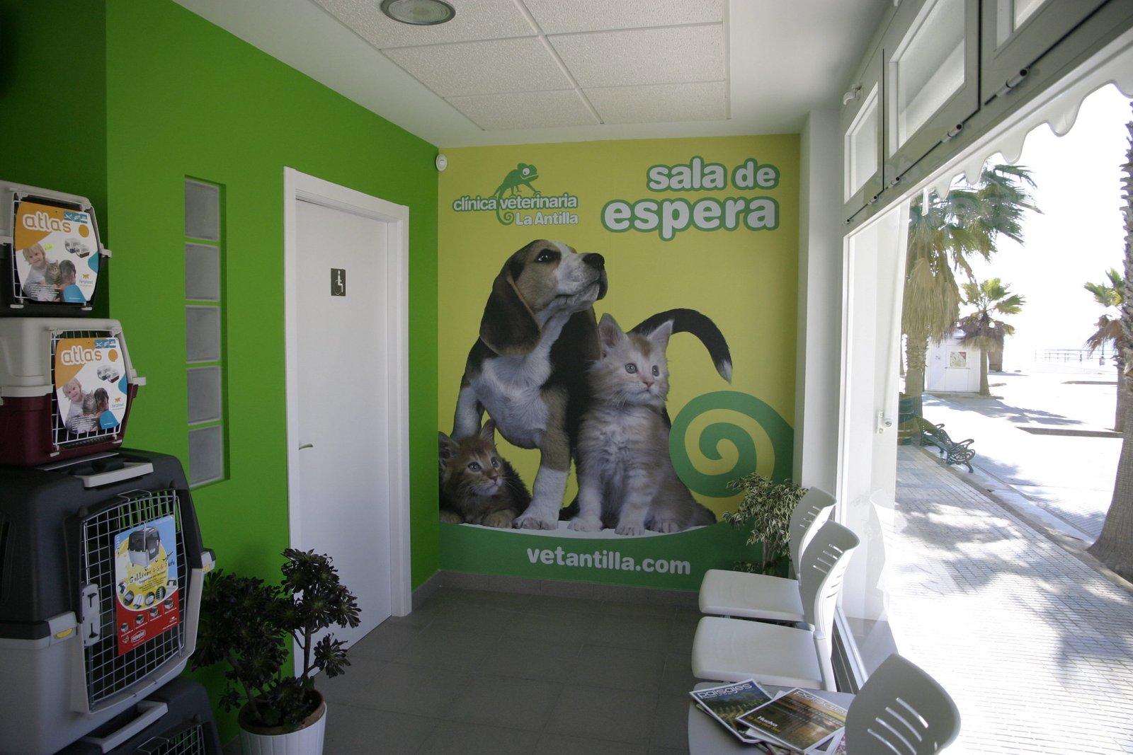 veterinario